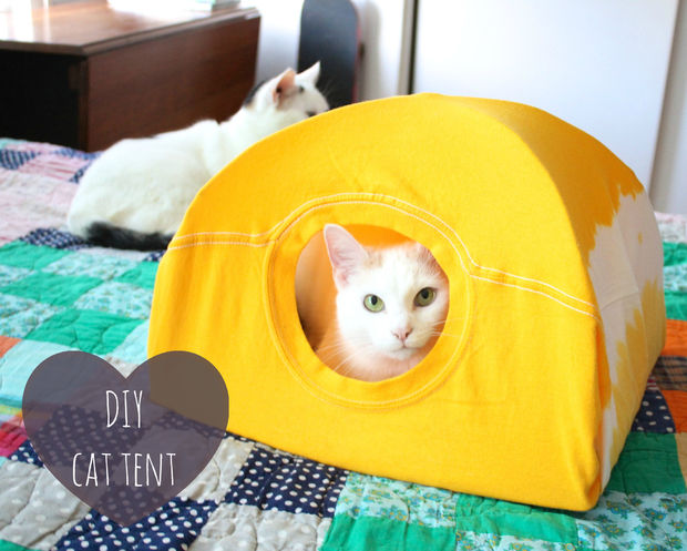 tenda per gatto