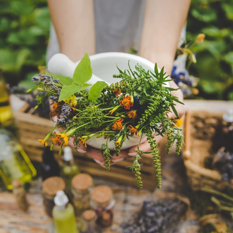 come coltivare erbe aromatiche