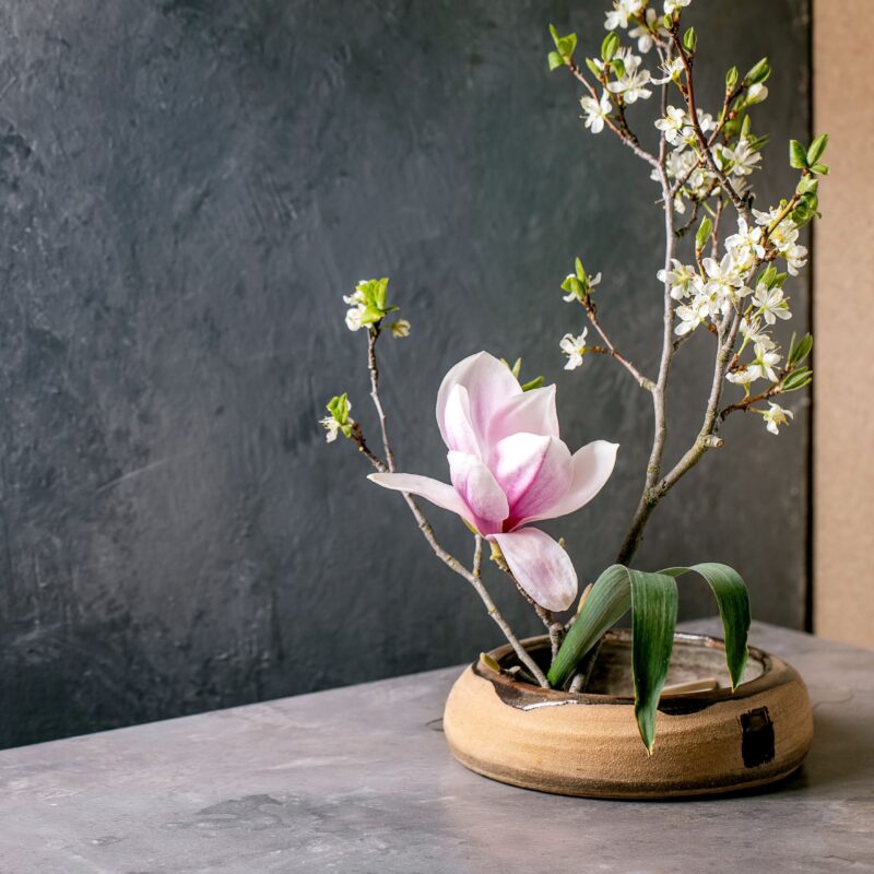creazioni con ikebana