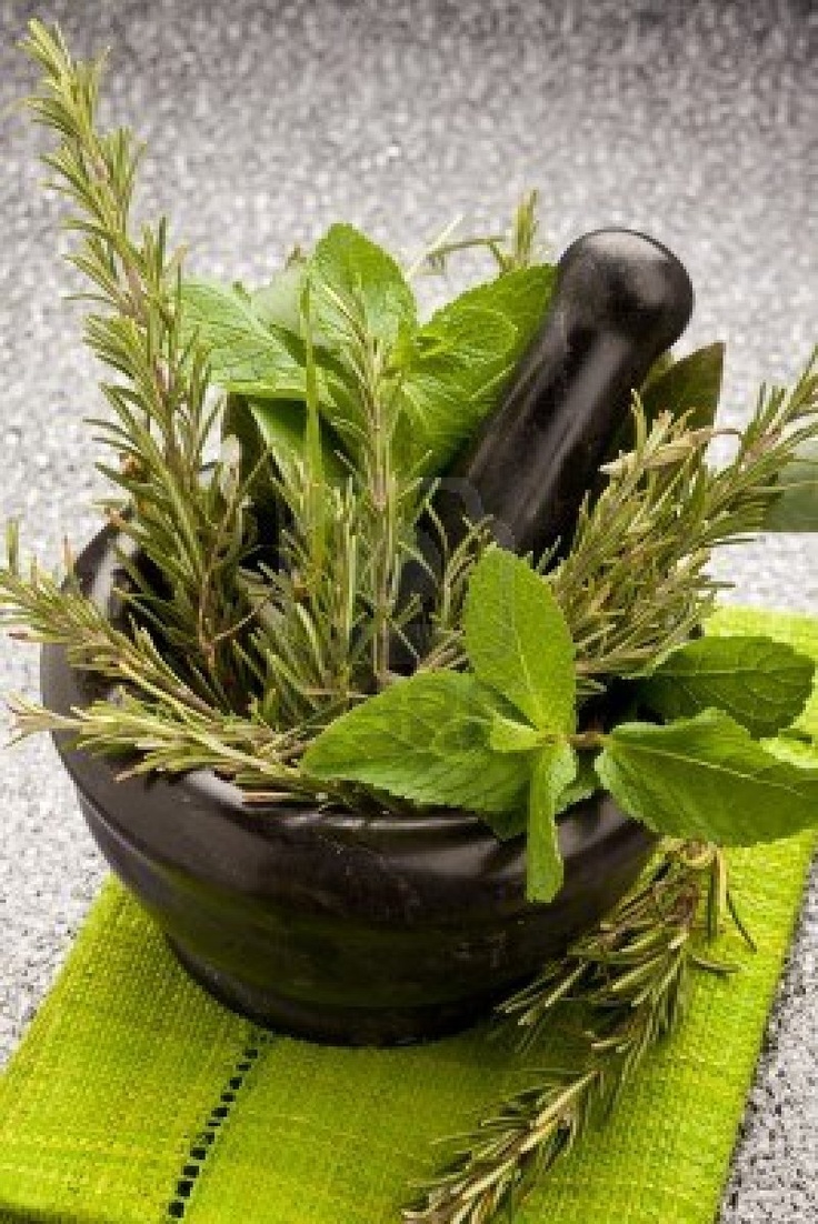 Come conservare le erbe aromatiche: 5 trucchi infallibili