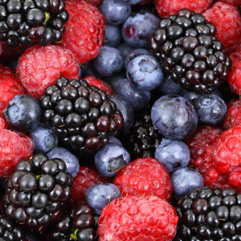 Come coltivare i frutti di bosco