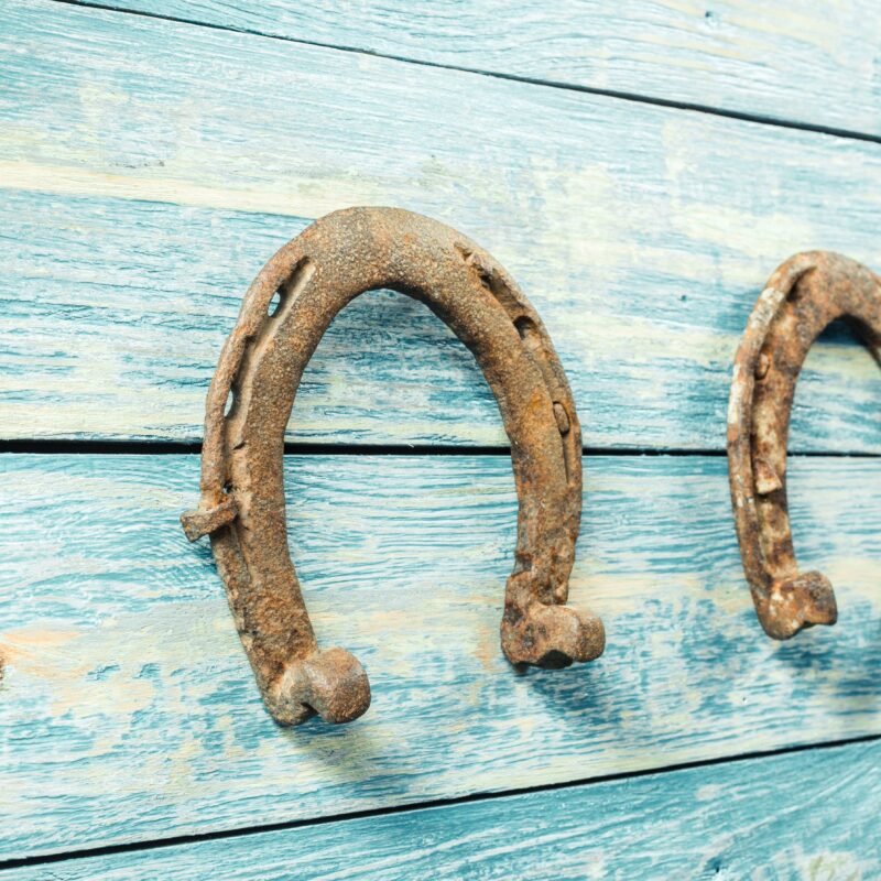 Idee creative da realizzare con il ferro di cavallo