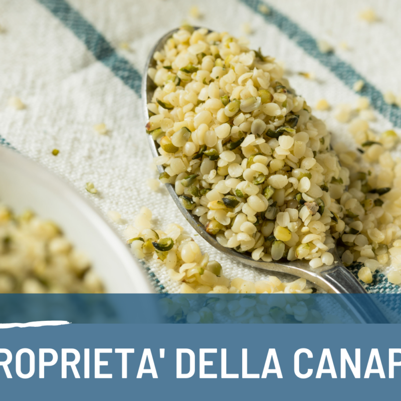 Proprietà della canapa: guada completa