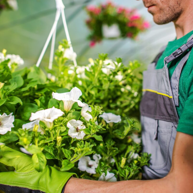 Un giardino curato è davvero possibile?