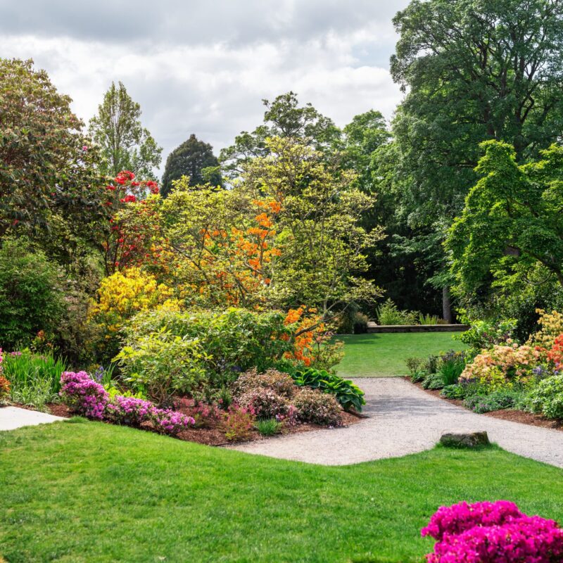 Come progettare un giardino