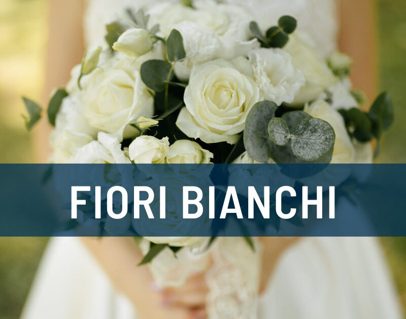 Fiori bianchi: quali sono