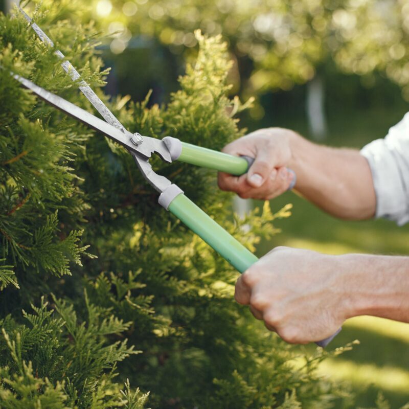 Dove acquistare gadget per il giardinaggio?