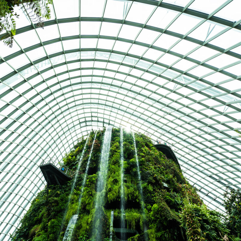 che cos'è una pergola biometrica?