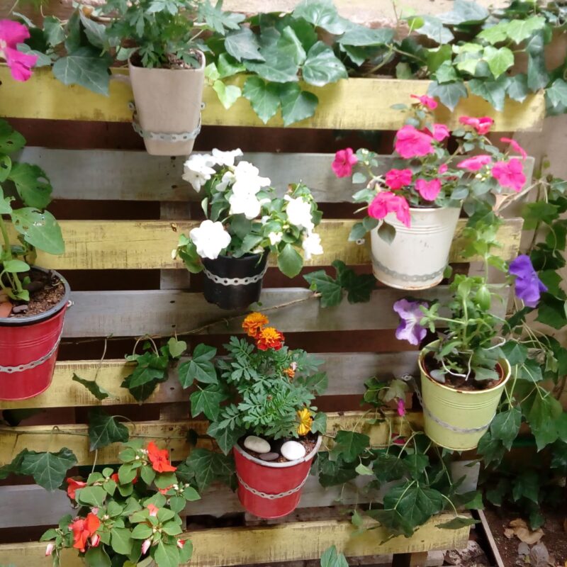 Come arredare un terrazzo con le piante