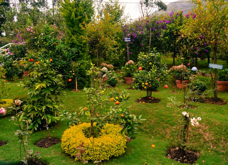 idee giardino: guida completa
